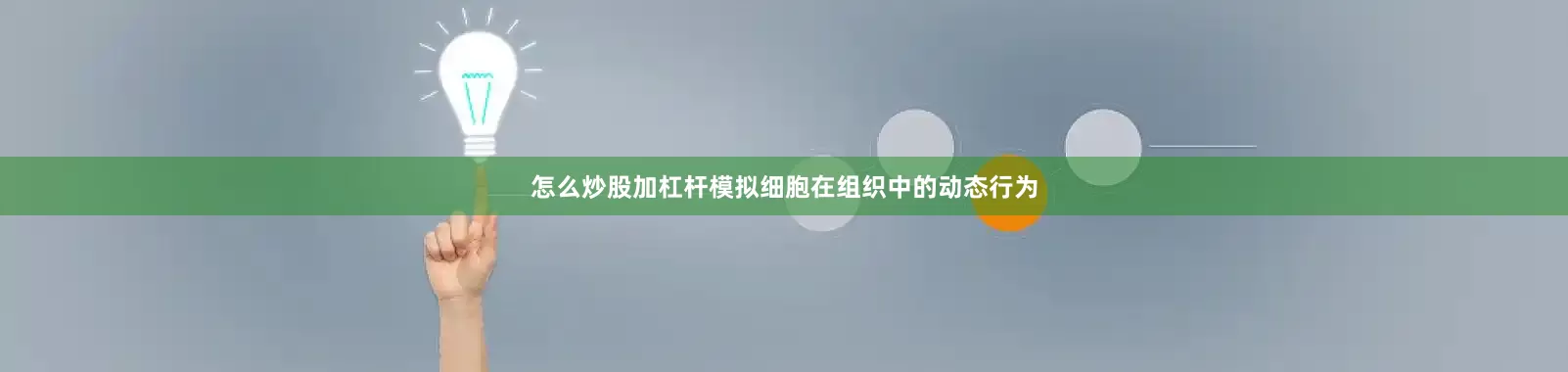 怎么炒股加杠杆模拟细胞在组织中的动态行为