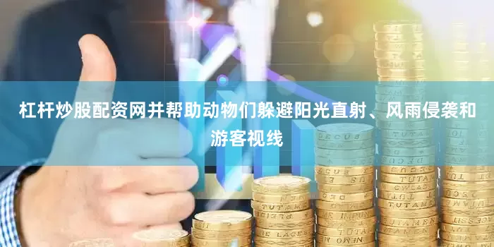杠杆炒股配资网并帮助动物们躲避阳光直射、风雨侵袭和游客视线